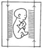 DOSSIER.Les zones réflexes sur les pieds correspondent à l'image anatomique du fœtus.